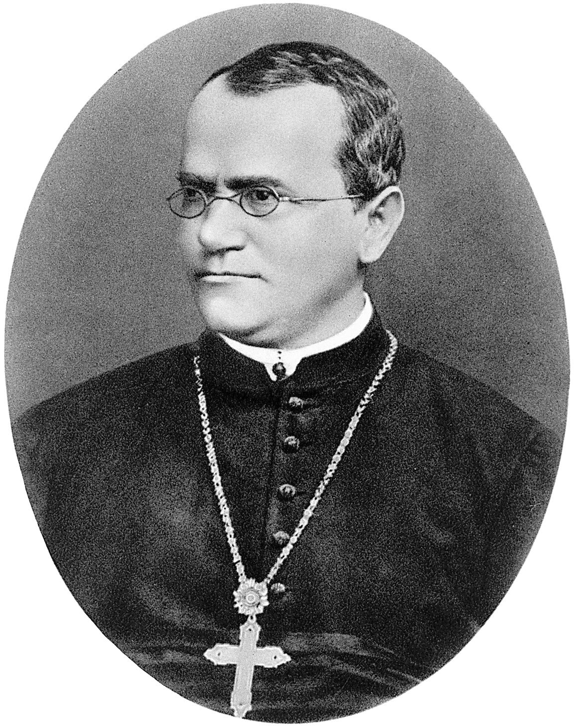 Gregor Johann Mendel
