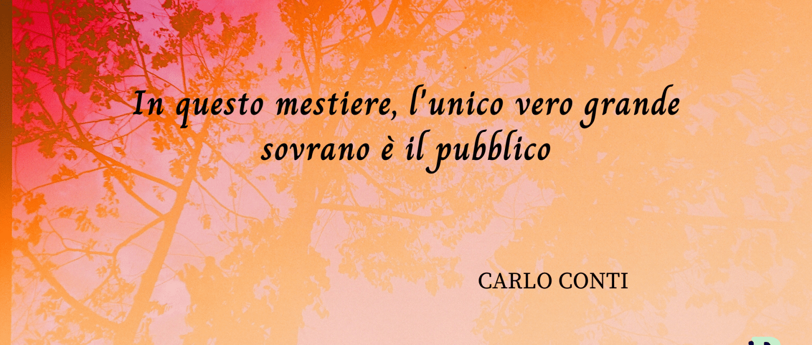 frasi Carlo Conti