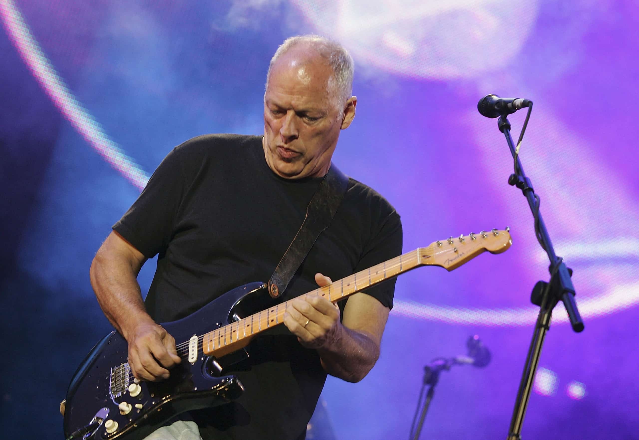 David Gilmour
