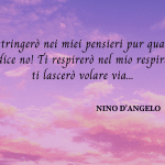frasi Nino D'Angelo
